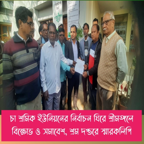 চা শ্রমিক ইউনিয়নের নির্বাচন ঘিরে শ্রীমঙ্গলে বিক্ষোভ ও সমাবেশ, শ্রম দপ্তরে স্মারকলিপি