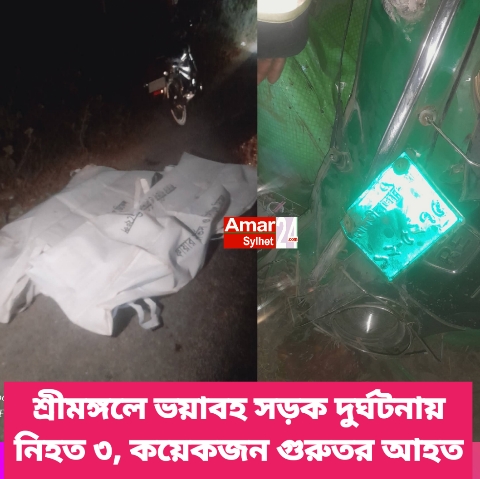 শ্রীমঙ্গলে ভয়াবহ সড়ক দুর্ঘটনায় নিহত ৩, কয়েকজন গুরুতর আহত