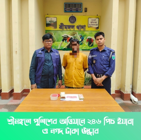 শ্রীমঙ্গলে পুলিশের অভিযানে ২৪৬ পিচ ইয়াবা ও নগদ টাকা উদ্ধার
