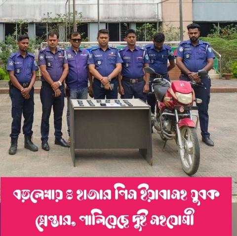 বড়লেখায় ৪ হাজার পিস ইয়াবাসহ যুবক গ্রেপ্তার, পালিয়েছে দুই সহযোগী