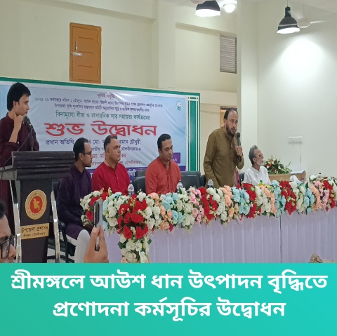 শ্রীমঙ্গলে আউশ ধান উৎপাদন বৃদ্ধিতে প্রণোদনা কর্মসূচির উদ্বোধন