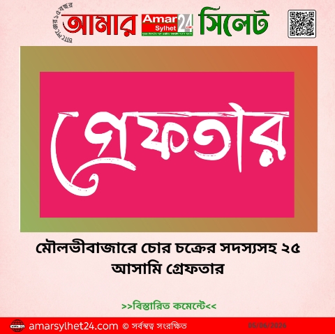 মৌলভীবাজারে চোর চক্রের সদস্যসহ ২৫ আসামি গ্রেফতার