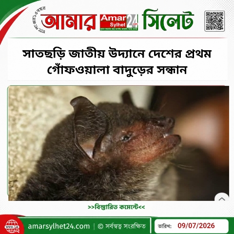 সাতছড়ি জাতীয় উদ্যানে দেশের প্রথম গোঁফওয়ালা বাদুড়ের সন্ধান