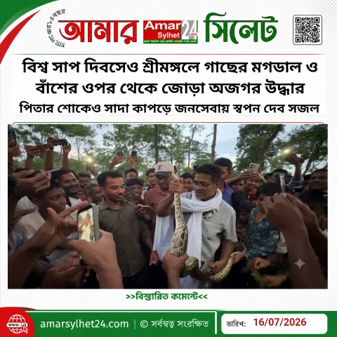 বিশ্ব সাপ দিবসেও শ্রীমঙ্গলে গাছের মগডাল ও বাঁশের ওপর থেকে জোড়া অজগর উদ্ধার