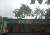 ঠাকুরগাঁওয়ের পীরগঞ্জে এক বিদ্যালয়ের শিক্ষকদের অনিয়মের অভিযোগ