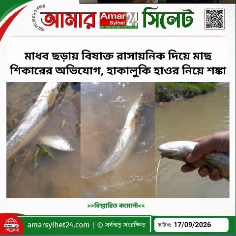 মাধব ছড়ায় বিষাক্ত রাসায়নিক দিয়ে মাছ শিকারের অভিযোগ, হাকালুকি হাওর নিয়ে শঙ্কা