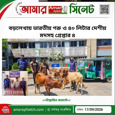 বড়লেখায় ভারতীয় গরু ও ৪০ লিটার দেশীয় মদসহ গ্রেপ্তার ৪